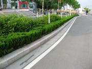 路沿石安装