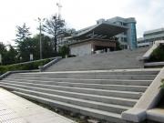 台阶石