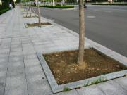 花岗岩树池